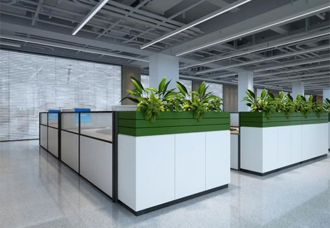 合肥办公室装修为何要在办公室里摆放绿色植物？
